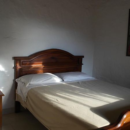 Sergeant Pepper'S Hostel Jardin Ngoại thất bức ảnh